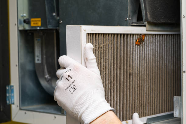 Best Home Air Vent Cleaning  in Kentwood, MI